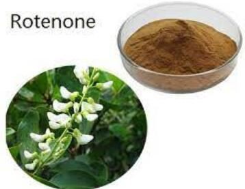 2021092616594064d5baa4837942a8bc7d26ee7bcf3d23