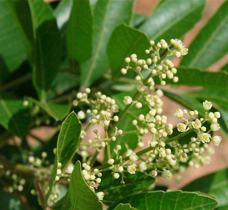 202012141200064377b451b7e74b1fa713b7a674a58a67 202012141200064377b451b7e74b1fa713b7a674a58a67