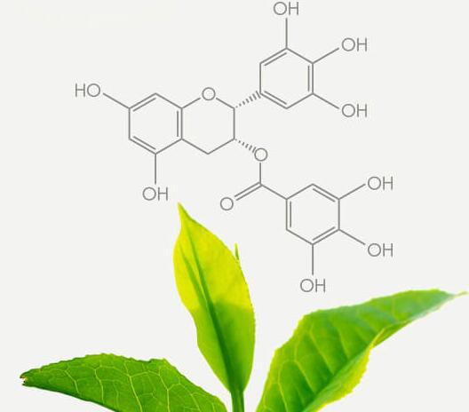 202105211157115d2ed7119a8344feb0450969cb6cccb2-1 202105211157115d2ed7119a8344feb0450969cb6cccb2-1