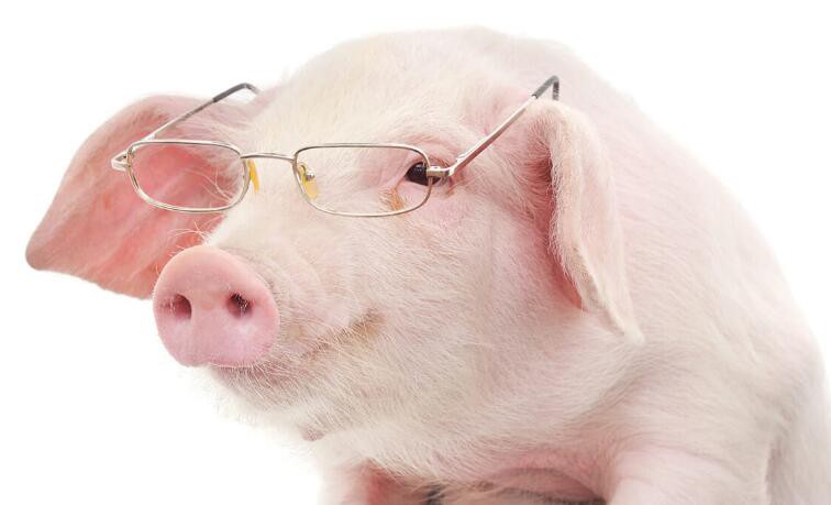 2021080911514042be063410b541dc9c61008847df5ae8-29 2021080911514042be063410b541dc9c61008847df5ae8-29