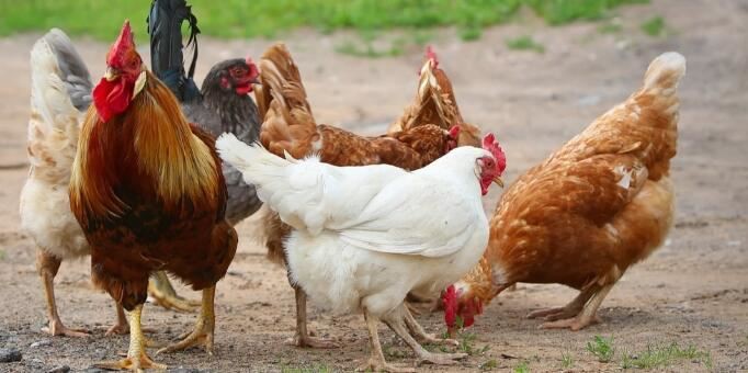 202109131415145846d774e75e4b8584c4025d3fa3f1f6 202109131415145846d774e75e4b8584c4025d3fa3f1f6