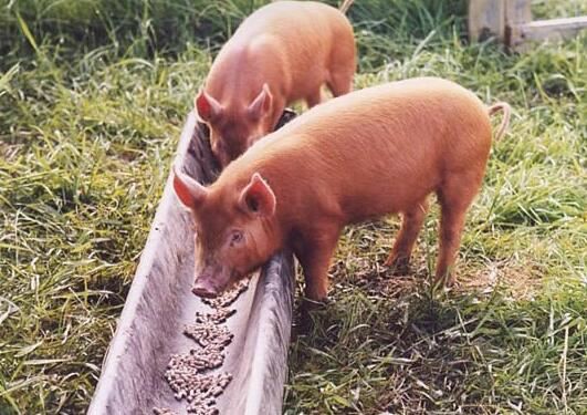 20210913144947364db883cf3c4b739a6855da140c2c30 20210913144947364db883cf3c4b739a6855da140c2c30