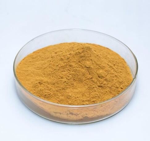 20210924154811225a1f16bae745e1a35691aae6bbca42-5 20210924154811225a1f16bae745e1a35691aae6bbca42-5