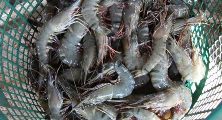 2021102714015056e54c92d3264be68bfc0f91f9301222-1 2021102714015056e54c92d3264be68bfc0f91f9301222-1