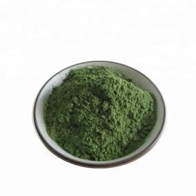 202111121636034525632840ed41c1b7bf7f56095897a2 202111121636034525632840ed41c1b7bf7f56095897a2