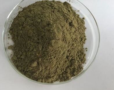 20211112163729c7c5cabee46a4b768391b7b4ae15fdbe 20211112163729c7c5cabee46a4b768391b7b4ae15fdbe