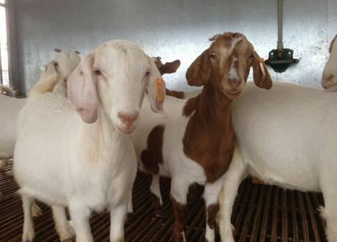 20211124161810f483bd10fd5d48de8bdd86f3fde6a5fb-1 20211124161810f483bd10fd5d48de8bdd86f3fde6a5fb-1