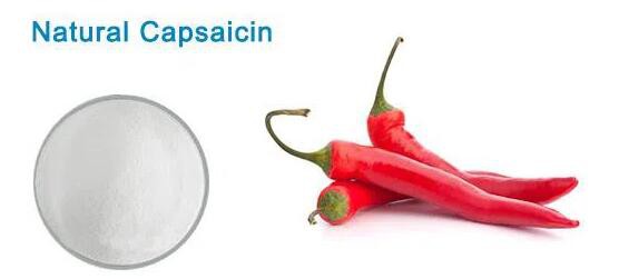 20211126144735a0ef5f62fd0e4a4884f23b84b7d34cee-1 20211126144735a0ef5f62fd0e4a4884f23b84b7d34cee-1