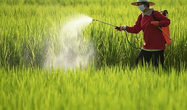 202111261502561bcc3daef63a42f5adc8818fed9ad361-7 202111261502561bcc3daef63a42f5adc8818fed9ad361-7