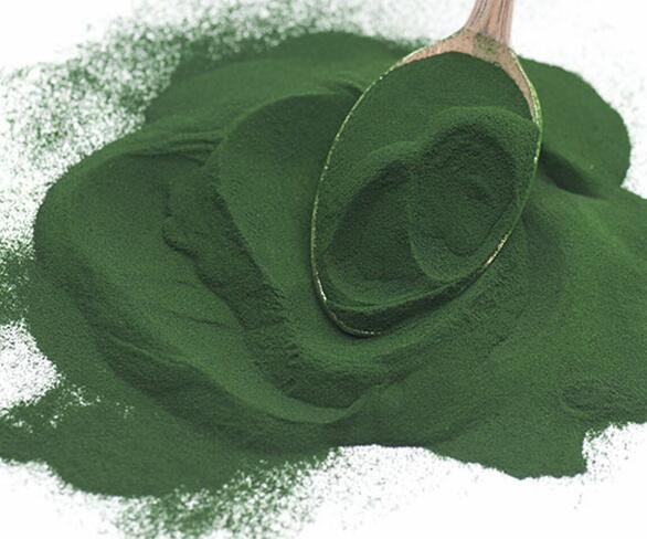 20211202162853030e5e942fb94864bdaac02e38c1d920