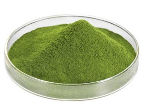 2021120614420575f366731511488fbe9a9f80a823c34a 2021120614420575f366731511488fbe9a9f80a823c34a