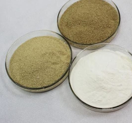 202112220919348993dc49fbf44d508404822a403c7909-2 202112220919348993dc49fbf44d508404822a403c7909-2