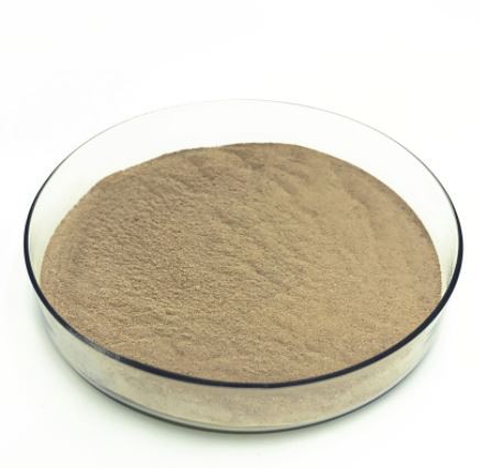 20211228095656533e87c9459542bd903f82b2a433a784-2 20211228095656533e87c9459542bd903f82b2a433a784-2