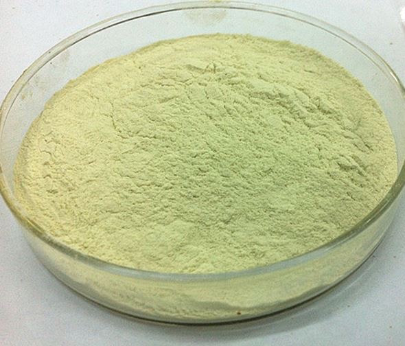 2021123110392061518de888e64e11a16e2d6f3e59d41a-1