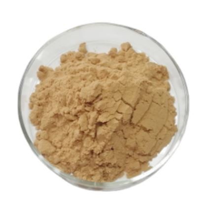 202201141044529206ca7ef8434c2a95425757e9fa39ac 202201141044529206ca7ef8434c2a95425757e9fa39ac