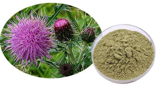 20220118111532ad5d1838c3a34c51ae0938ff2260311b 20220118111532ad5d1838c3a34c51ae0938ff2260311b