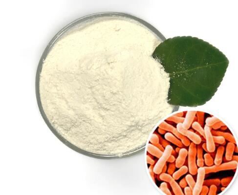 202202211316433676e33c2ddc4bfebf9e231bbfc2ddcd 202202211316433676e33c2ddc4bfebf9e231bbfc2ddcd