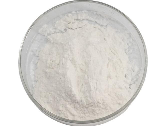 202202221611551733942a7e1f41048eff1e0d963fc2f1 202202221611551733942a7e1f41048eff1e0d963fc2f1