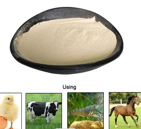 202202241535539a61981ec8bf4acc822b1440c89bd556 202202241535539a61981ec8bf4acc822b1440c89bd556