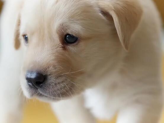 2022030314021131829f69bda2454ea9eca4f3eb723223-1 2022030314021131829f69bda2454ea9eca4f3eb723223-1