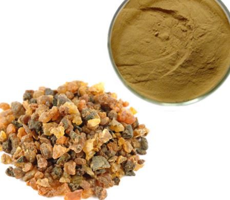 202203161112190c3d598bf8e9482e8bc8e57d45b6d6fc-1 202203161112190c3d598bf8e9482e8bc8e57d45b6d6fc-1