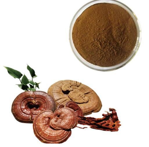 20220407165816225fe6bf83e94050b7f6aa8d11168c85 20220407165816225fe6bf83e94050b7f6aa8d11168c85