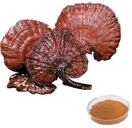 2022040813531247bc814c7bca41449e45275adf8eaccf 2022040813531247bc814c7bca41449e45275adf8eaccf