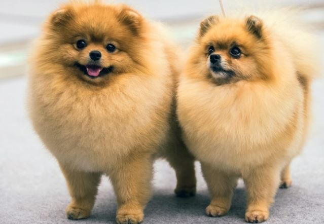 20220414120211cc6d67dc60214c93928b346293776239-2 20220414120211cc6d67dc60214c93928b346293776239-2