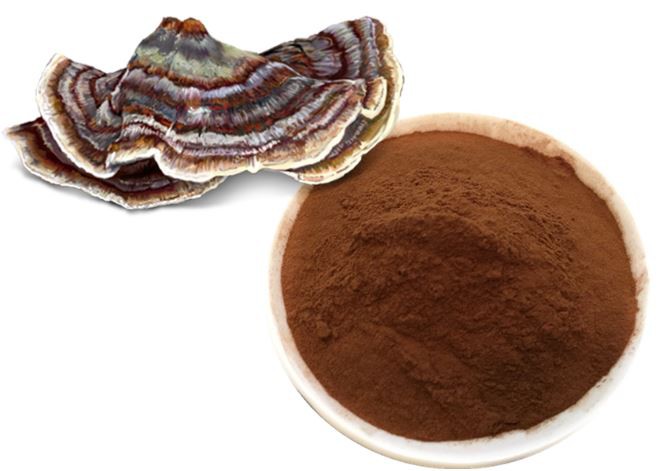 202204191219037e0c6232c3b4415080c69dc5de92b5a2-1 202204191219037e0c6232c3b4415080c69dc5de92b5a2-1