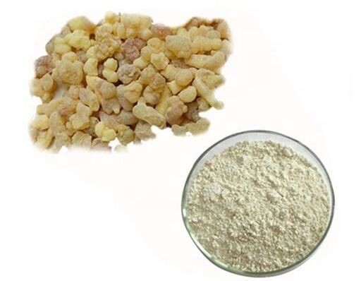 20220425133507415ebcd1e51e4096a57b404f3e241690