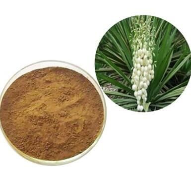 202204281329556a378c31ee744d0a85156ca6a09ae7d2