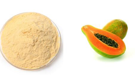 20220509155714ce2f7d4eabfe419ba4b1cbb693b9acf7-1