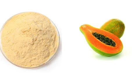 20220509155714ce2f7d4eabfe419ba4b1cbb693b9acf7-3 20220509155714ce2f7d4eabfe419ba4b1cbb693b9acf7-3