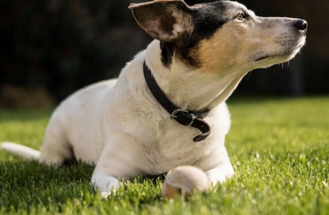 20220517142122aa4d03d353244051a200e754769749d0-5