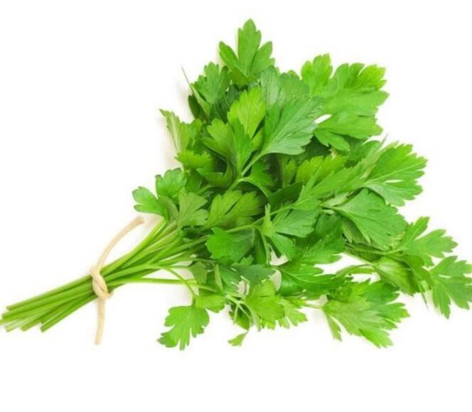 2022052014440256e85667e3994db9a0c57c7b7d2b9e10