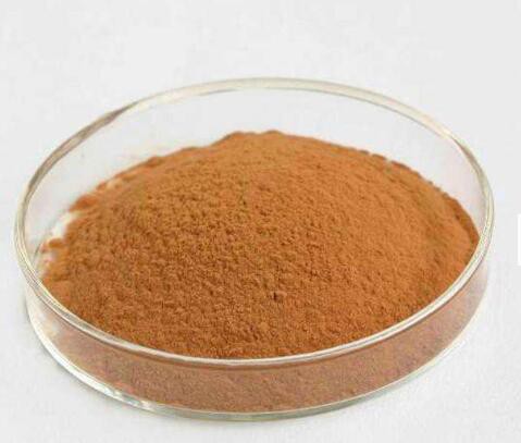 202205251337112187e212fef34a6ca5cf2ecc41ce7559-2