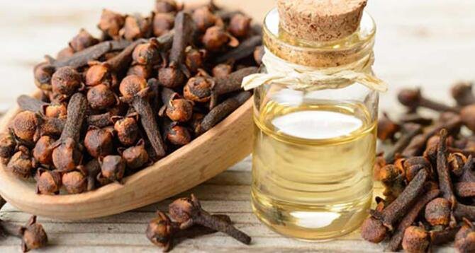 20220613151540ed6b1757685849f1a456c0ac4c673d88-1 20220613151540ed6b1757685849f1a456c0ac4c673d88-1