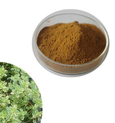 202206231139129719094218614ed6a3a359579695d2d7