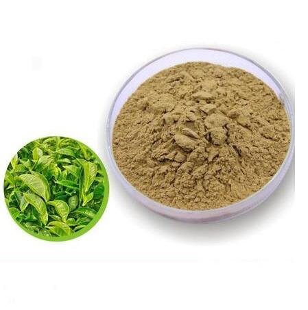 202206241403294a2e6d6d7cfc41238712dafd7b134cc6 202206241403294a2e6d6d7cfc41238712dafd7b134cc6