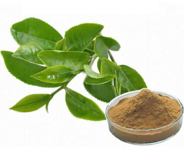 20220624142434e345fbf6acec4d3a945540dc14d6dc7b 20220624142434e345fbf6acec4d3a945540dc14d6dc7b