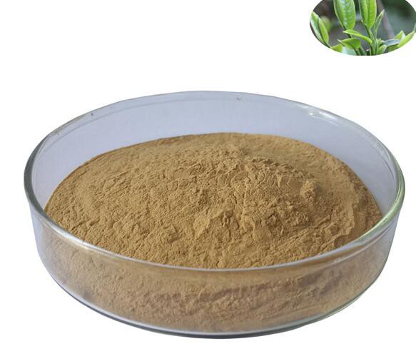 2022062715591295e30b0a8e50479a907af90bb349037f 2022062715591295e30b0a8e50479a907af90bb349037f