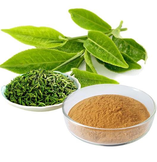 20220628154705b4dc200b950840928680adcfc00690cd 20220628154705b4dc200b950840928680adcfc00690cd