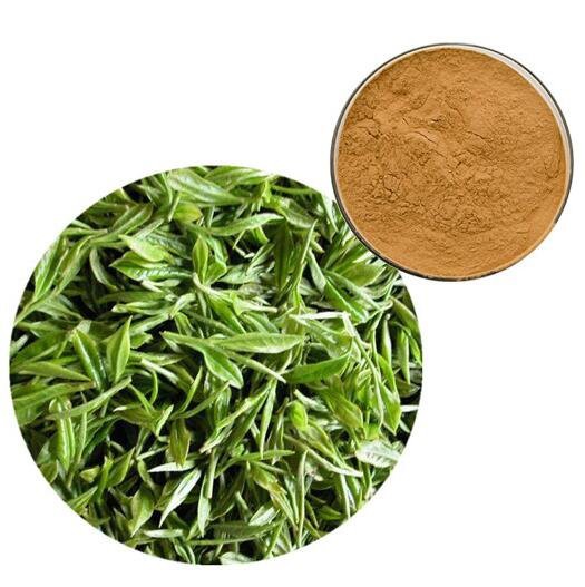 202206281547292c4d2dc594de469bbc71af17c3a643fc 202206281547292c4d2dc594de469bbc71af17c3a643fc