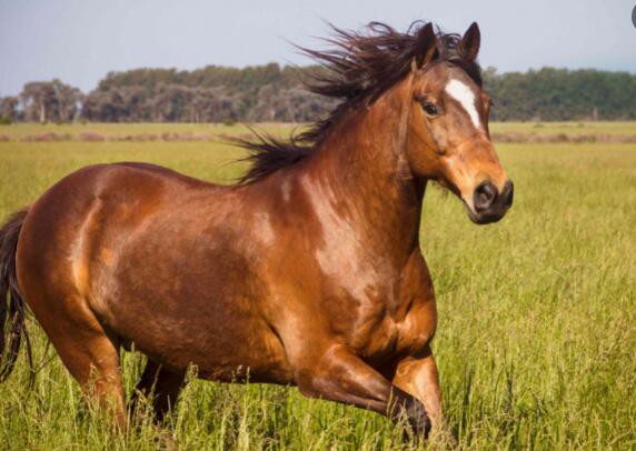 2022070714250568d390bcc82140ccb037230d1ada3022-1