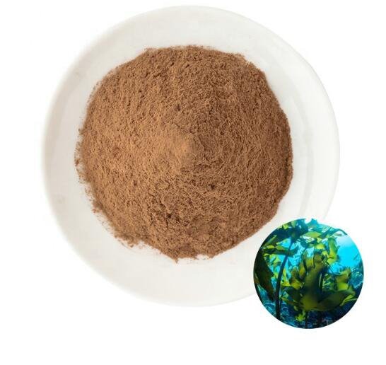 20220711143642f438257bb87b42f08c4f9546ba634297-1 20220711143642f438257bb87b42f08c4f9546ba634297-1