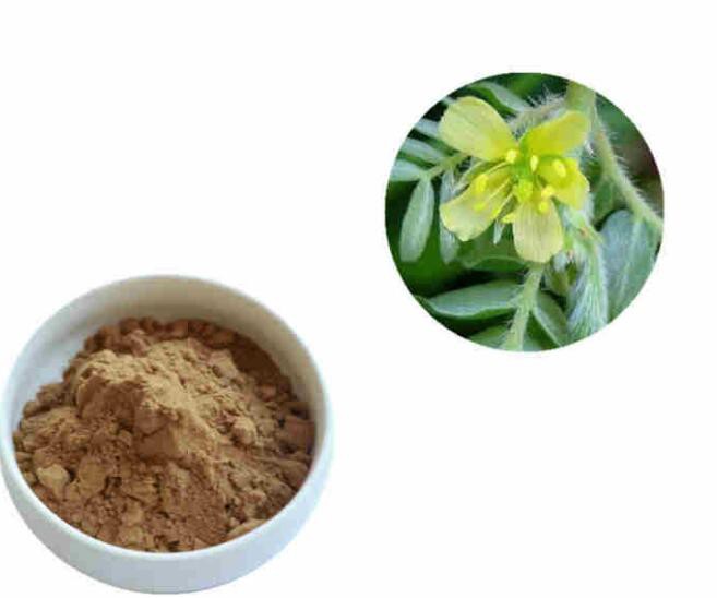 2022072613230059893fc3dddf45c2833b4303a804161c-3