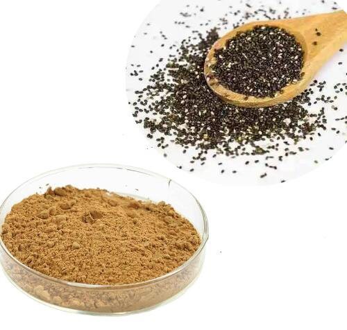 2022081015011072d41016dac2463e80f489a772046324