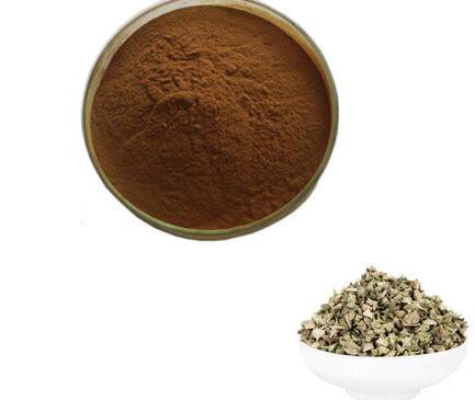 20221024165915249bd9f8988c47adafee475a946ff481 20221024165915249bd9f8988c47adafee475a946ff481