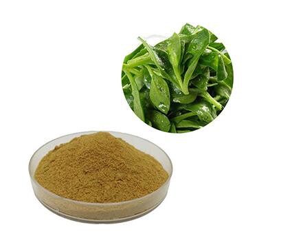 20221102134846c5e440b0ac6b46f49c9efaad8324963e 20221102134846c5e440b0ac6b46f49c9efaad8324963e