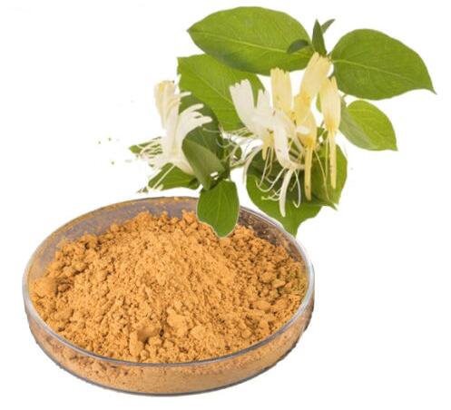 202211041412398a3fc2a54e164739909e39eee4f4713e 202211041412398a3fc2a54e164739909e39eee4f4713e